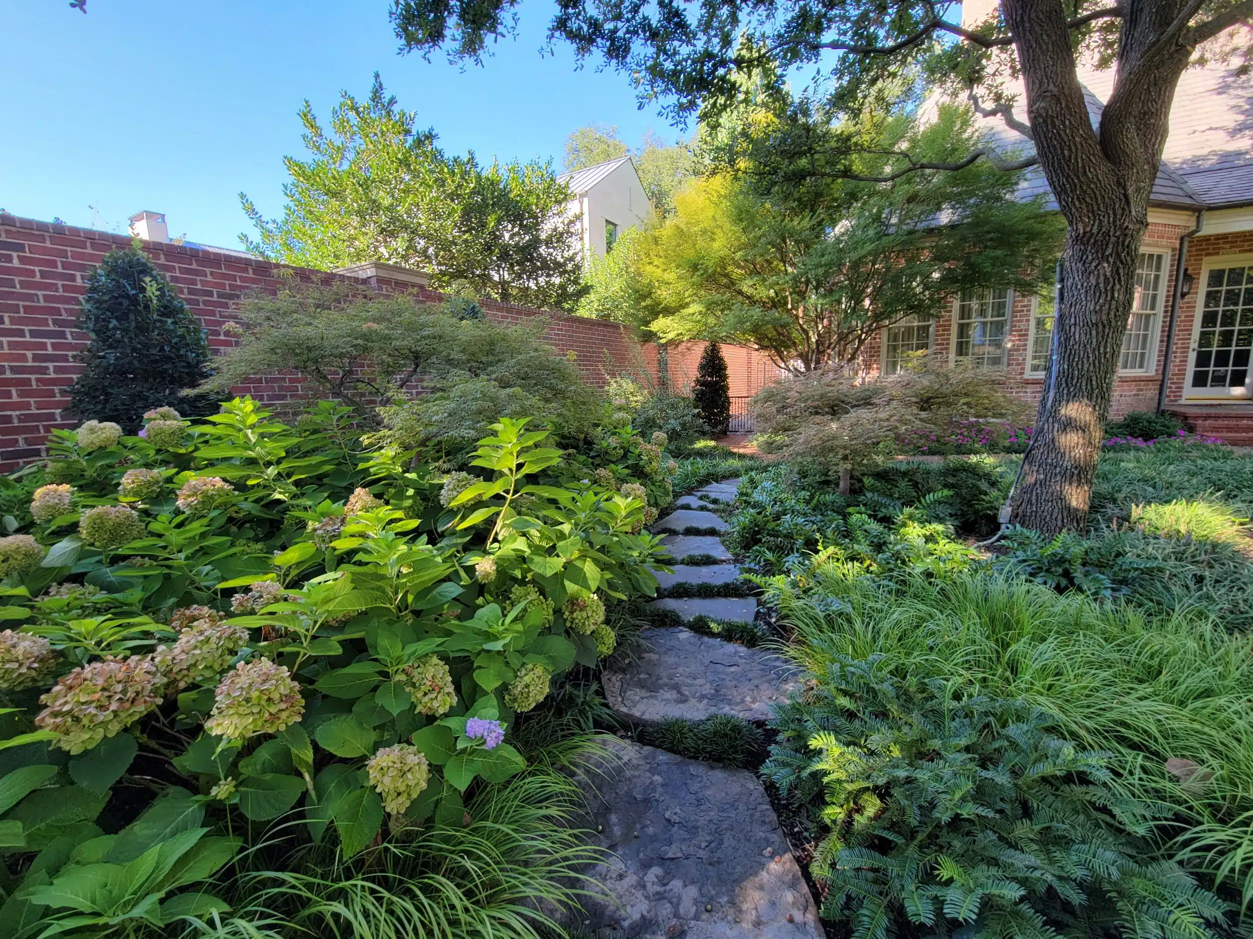 Landscape Design Highland Park
